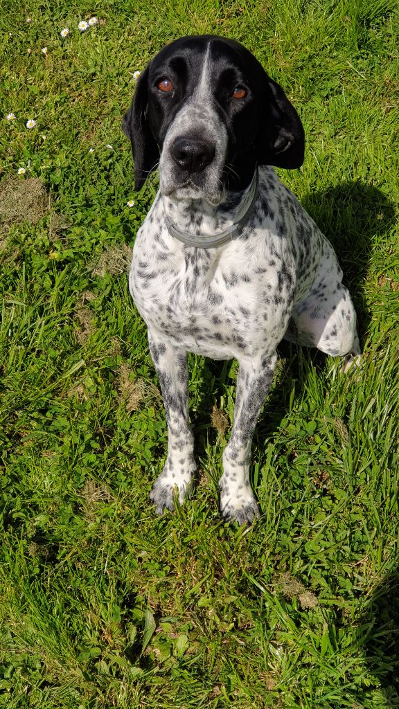 Rafale Des sources de la hulotte